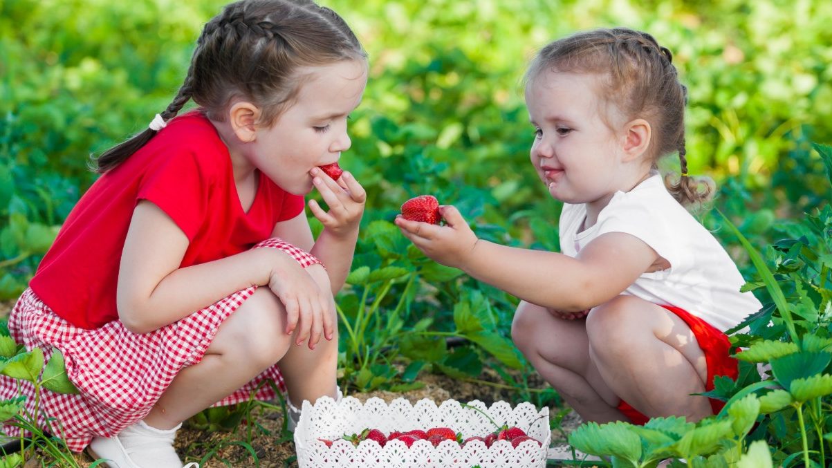 obesità infantile cosa fare obesità infantile cosa fare