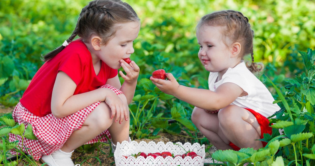 obesità infantile cosa fare obesità infantile cosa fare